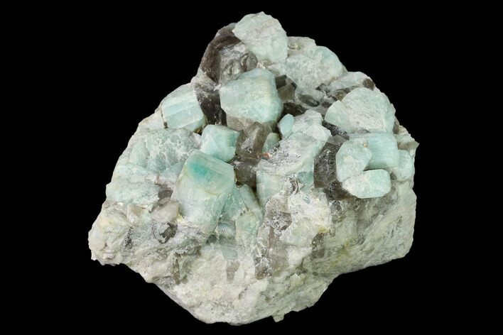 Amazonite Crystal Cluster with Smoky Quartz - Colorado #168076